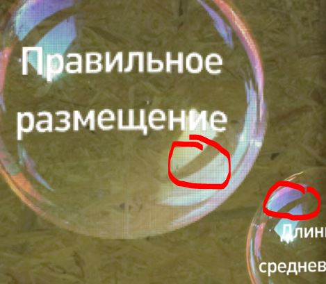 1.JPG
