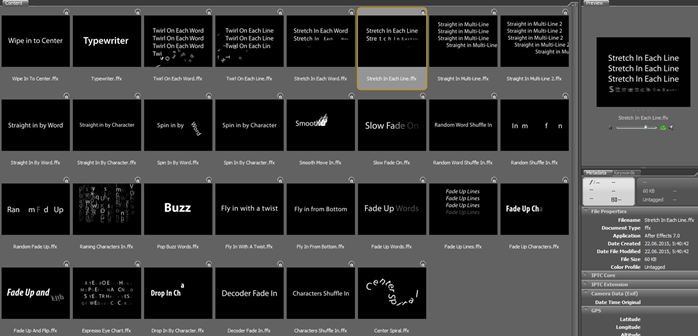 Adobe Bridge.jpg