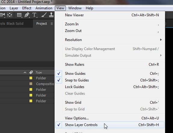 Show Layer Controls.jpg