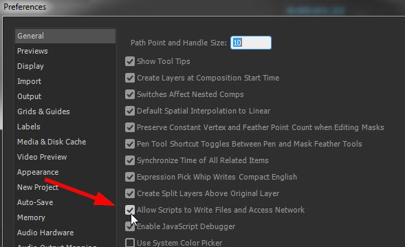 Allow Scripts To Write Files And Access Network.jpg