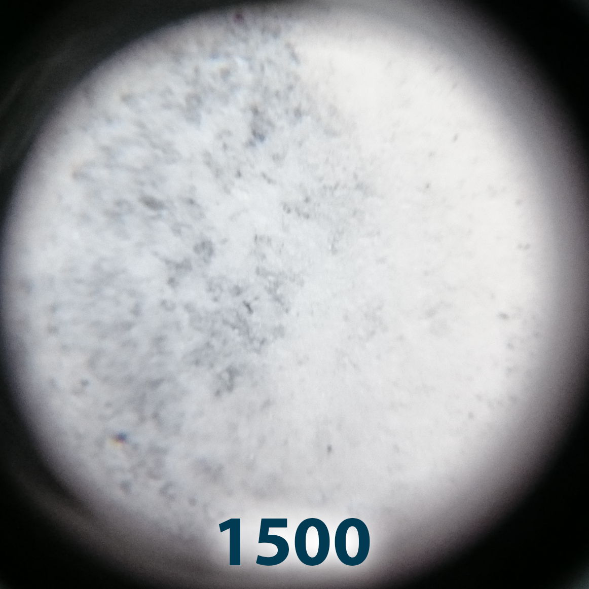 1500.jpg