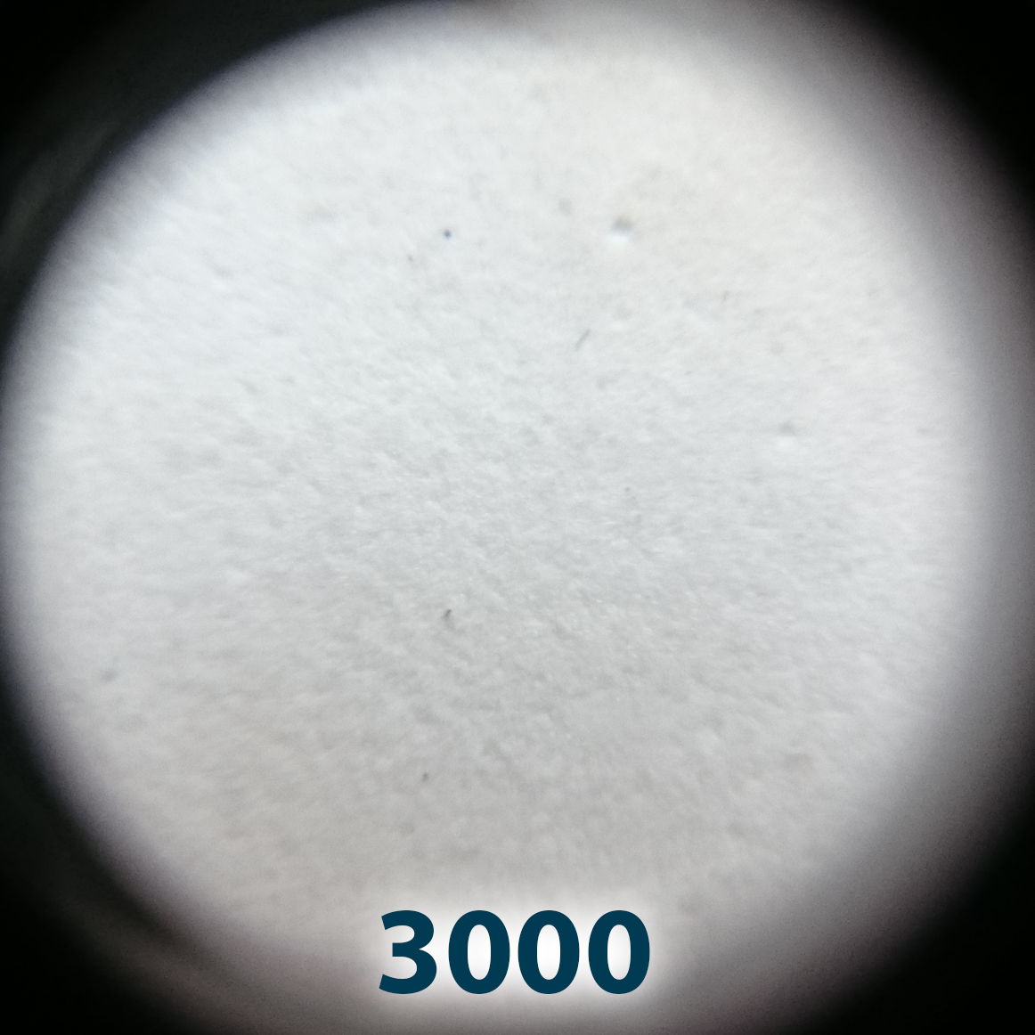 3000.jpg