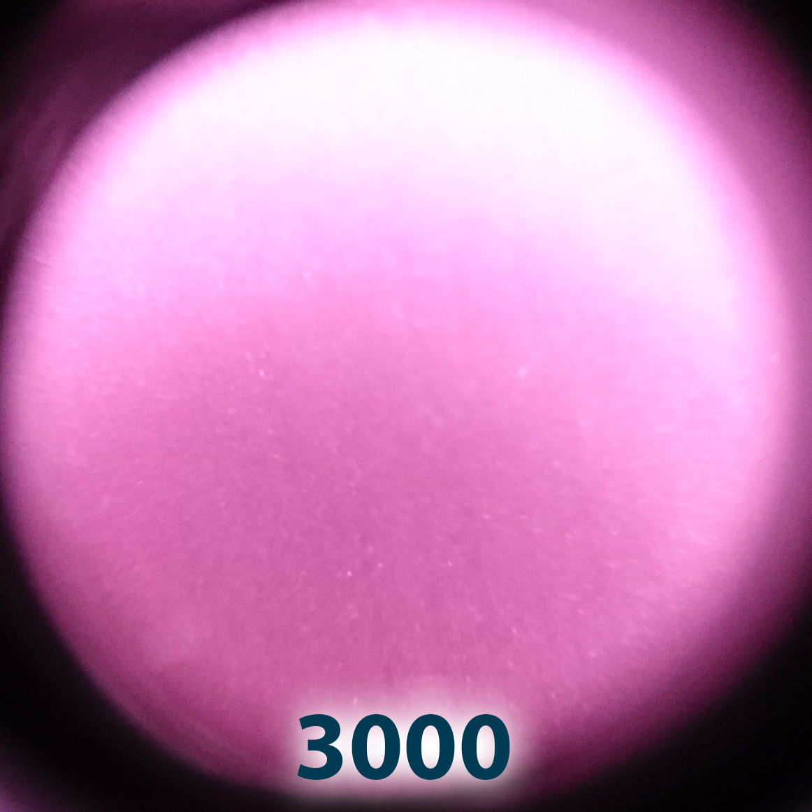 3000+.jpg