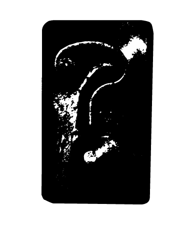 Untitled-1.png